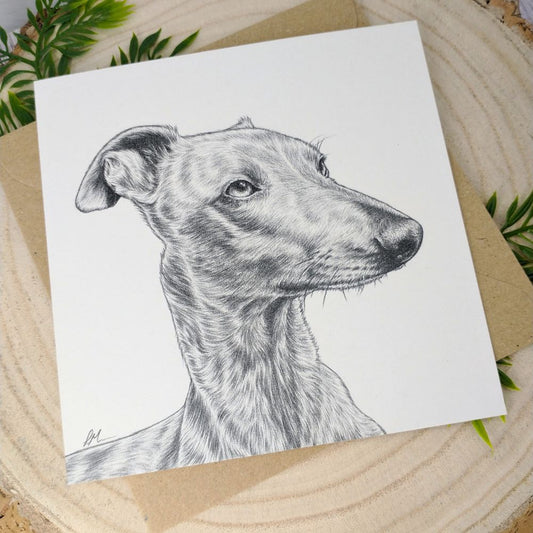 brindle-whippet-card