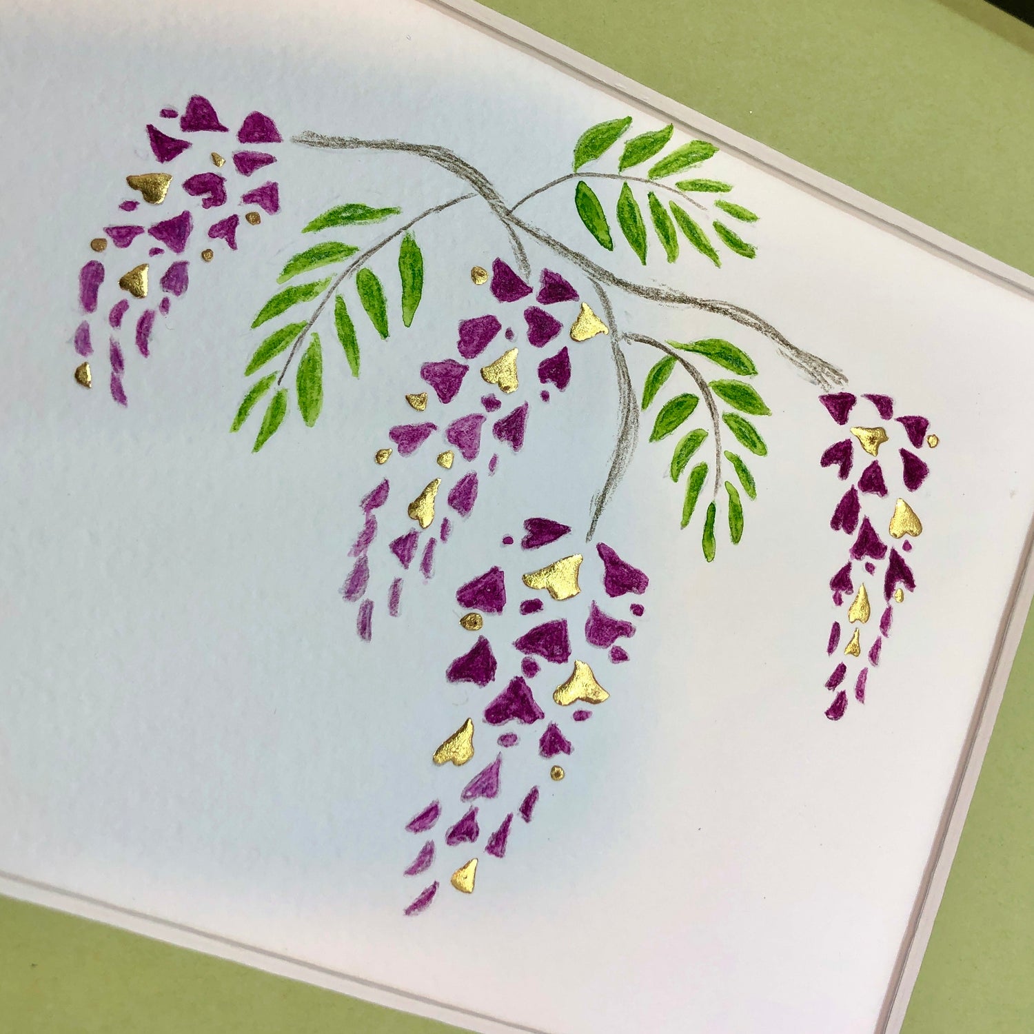 wisteria blossoms 