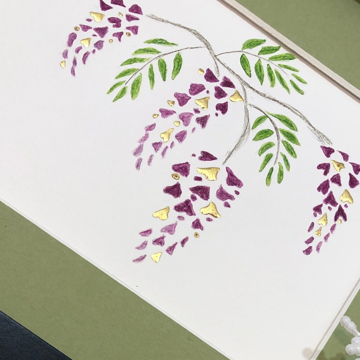 wisteria blossoms 