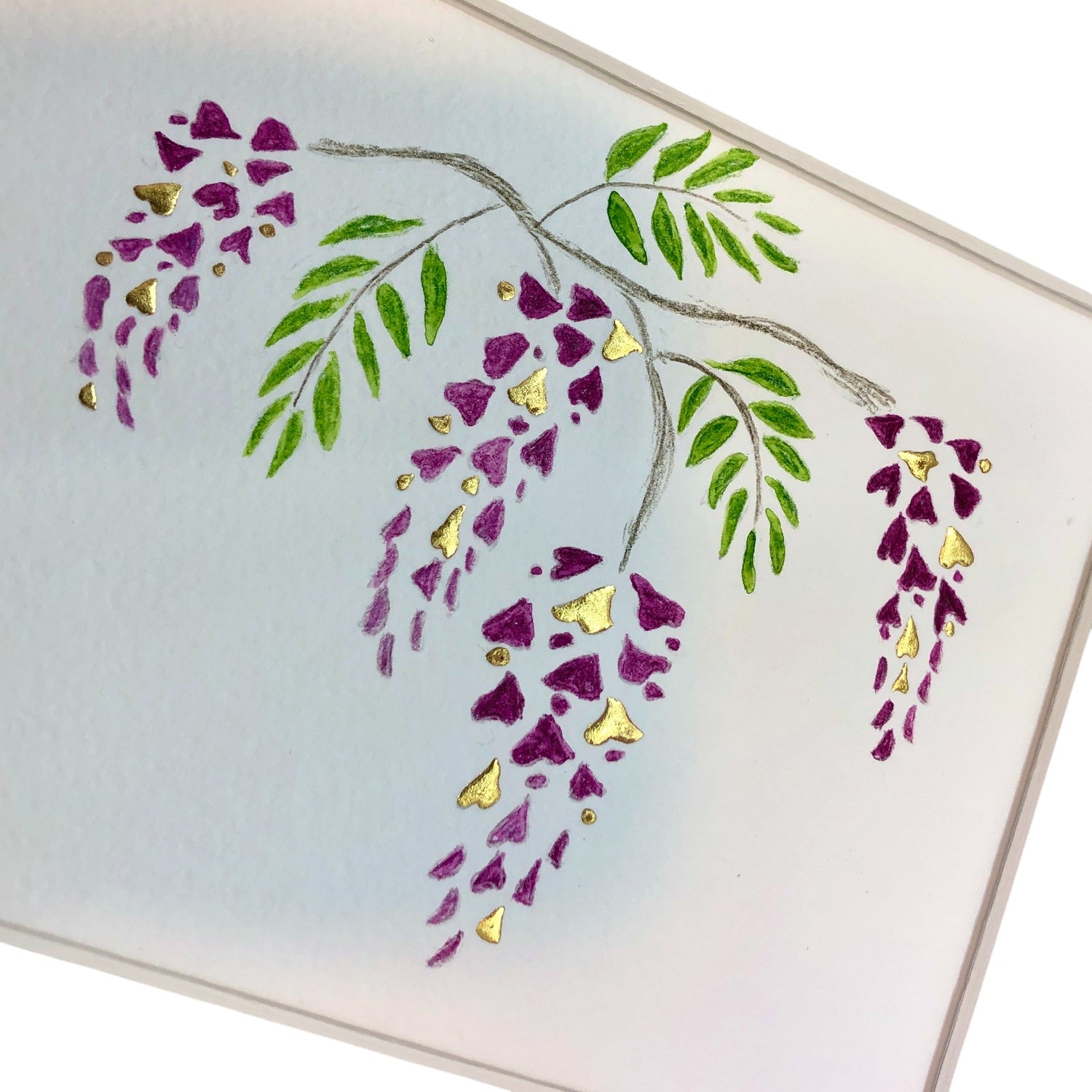 wisteria blossoms 