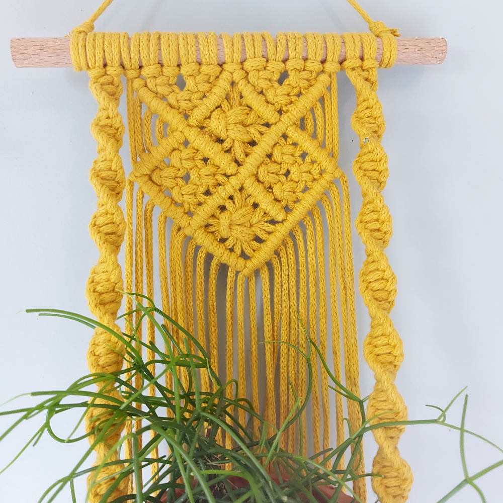 Custom Macrame Plant Holder – Christmas Gift