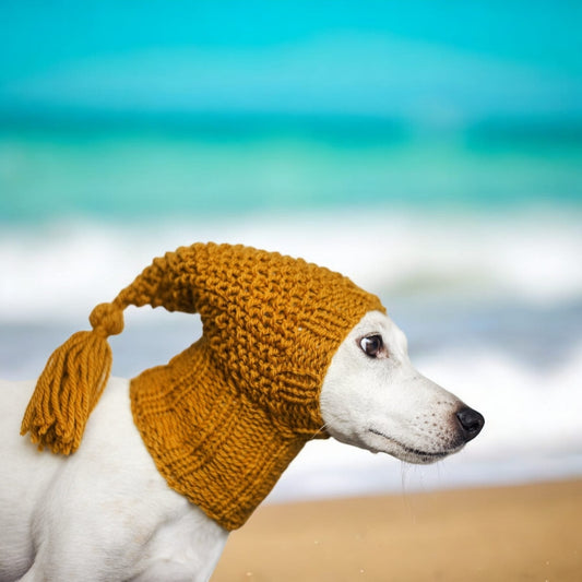 knitted dog balaclava