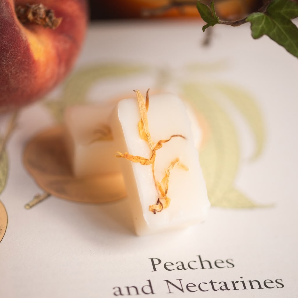 A small rectangular wax melt bar with dried orange-yellow botanical pieces embedded in it, photographed on a printed card that reads 'Peaches and Nectarines.' A peach and leaves are softly blurred in the background.