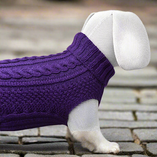 dog knitted jumper