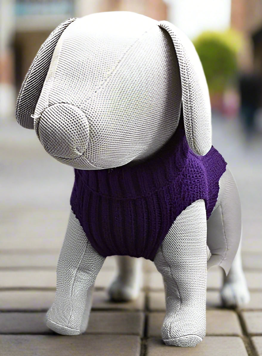 dog knitted jumper