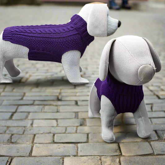dog knitted jumper