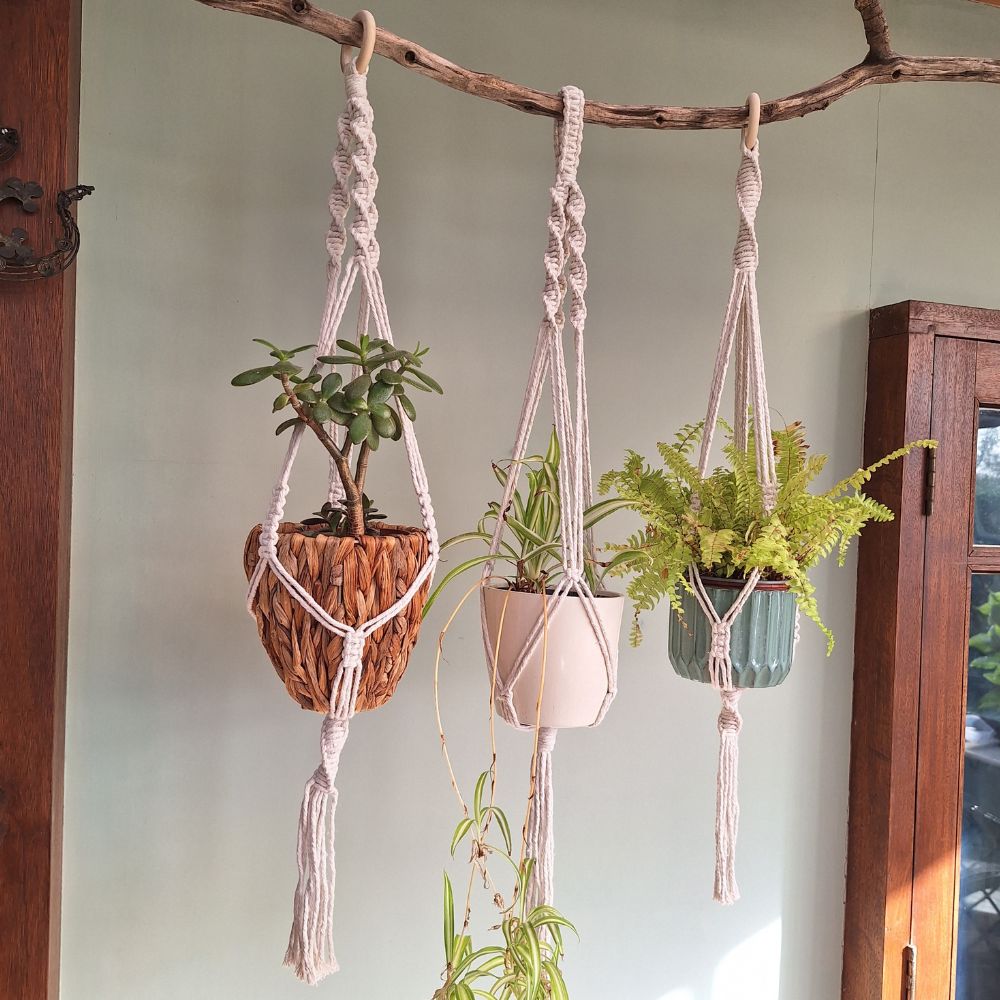Handcrafted Macrame Plant Hanger – Modern Boho Decor