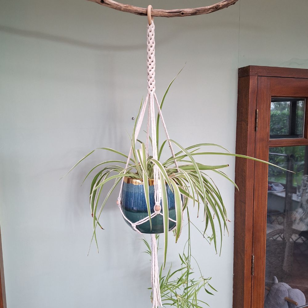 Handmade Macrame Plant Hanger – Christmas Gift for Her