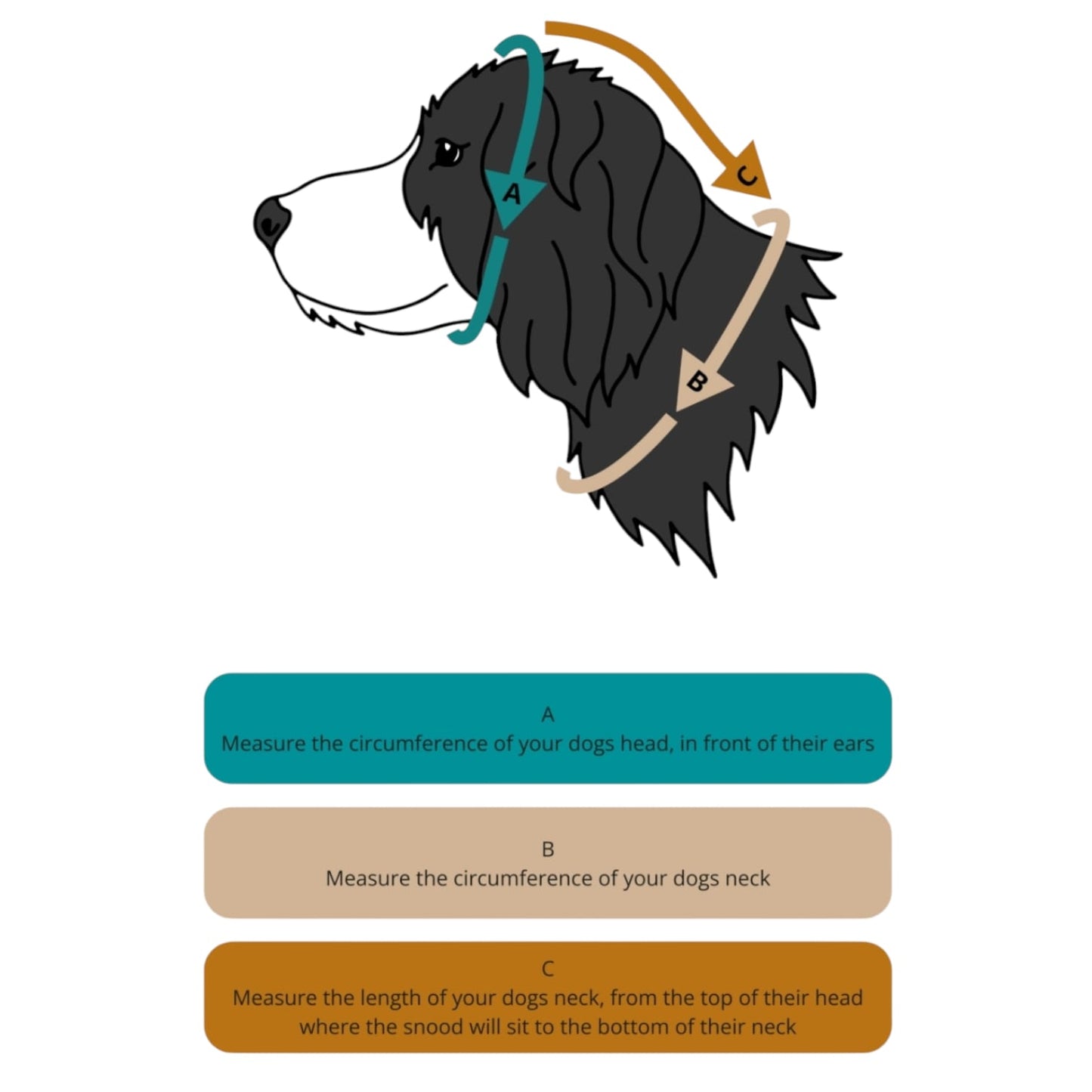 Graphic showing how to measure your dogs head for our custom handmade dog hats.