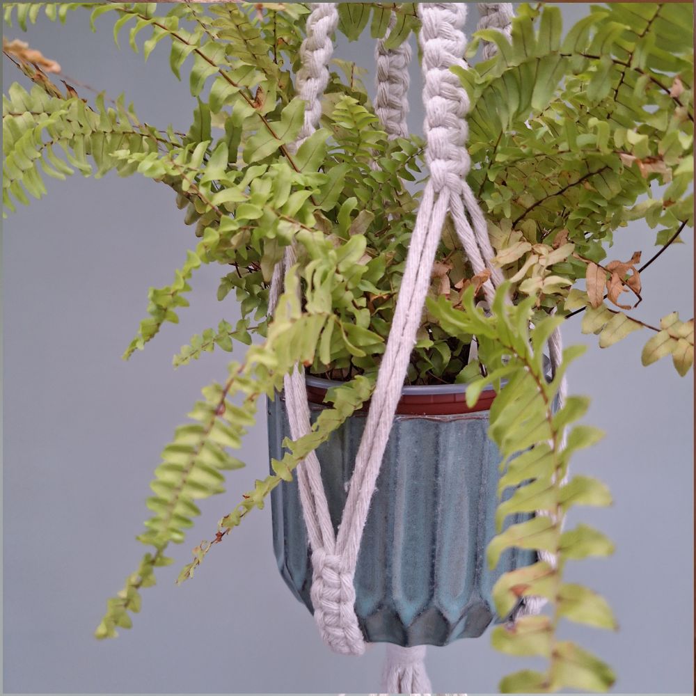 Boho Macrame Plant Hanger – Handmade Christmas Present