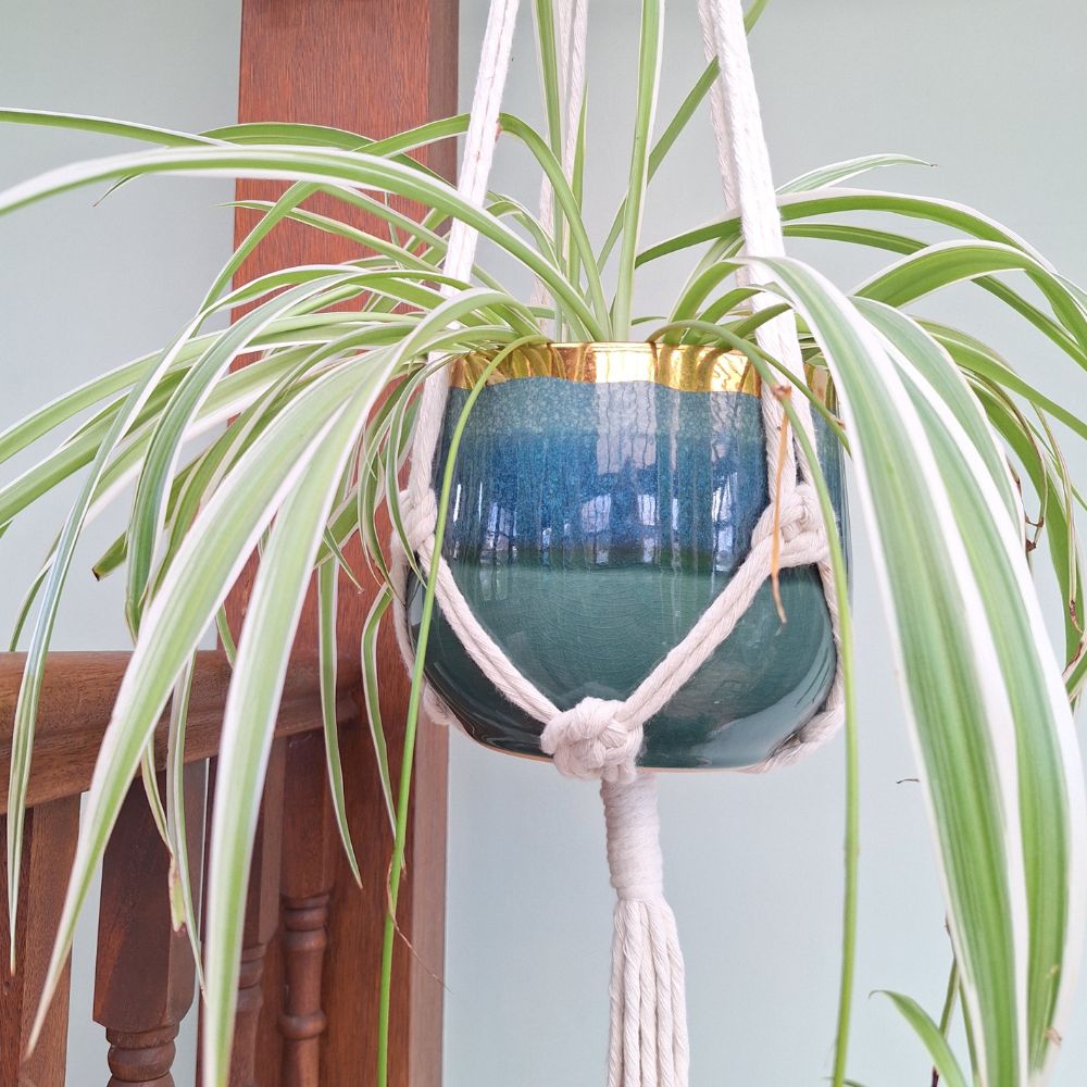 Boho Macrame Plant Hanger – Handmade Christmas Present