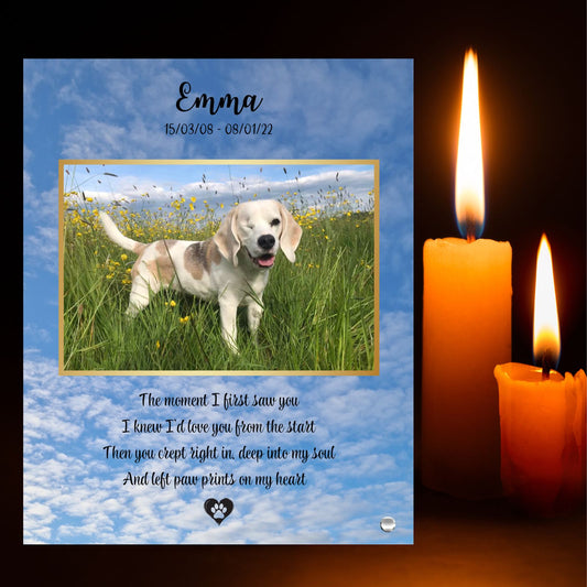 Glass memory photo panel showing a personalised pet image and verse. In memorium.