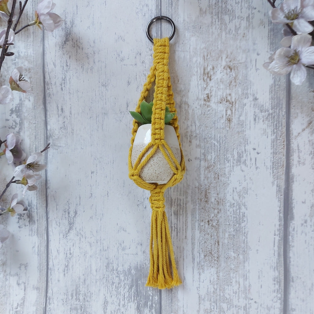 Mini Macrame Plant Holder – Christmas Gift
