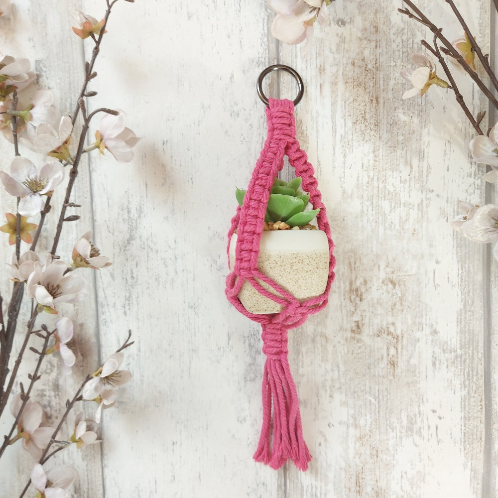 Mini Macrame Plant Holder – Christmas Gift