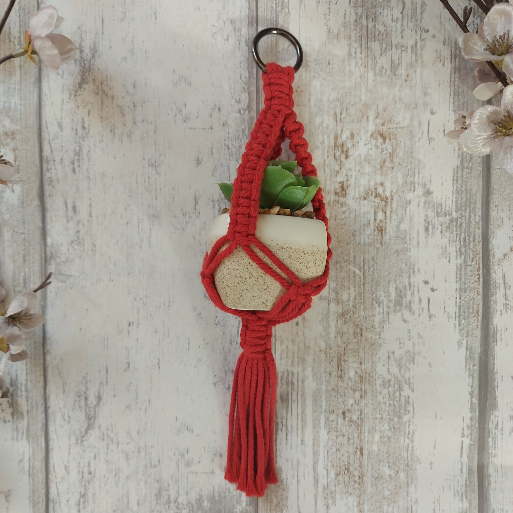 Mini Macrame Plant Holder – Christmas Gift