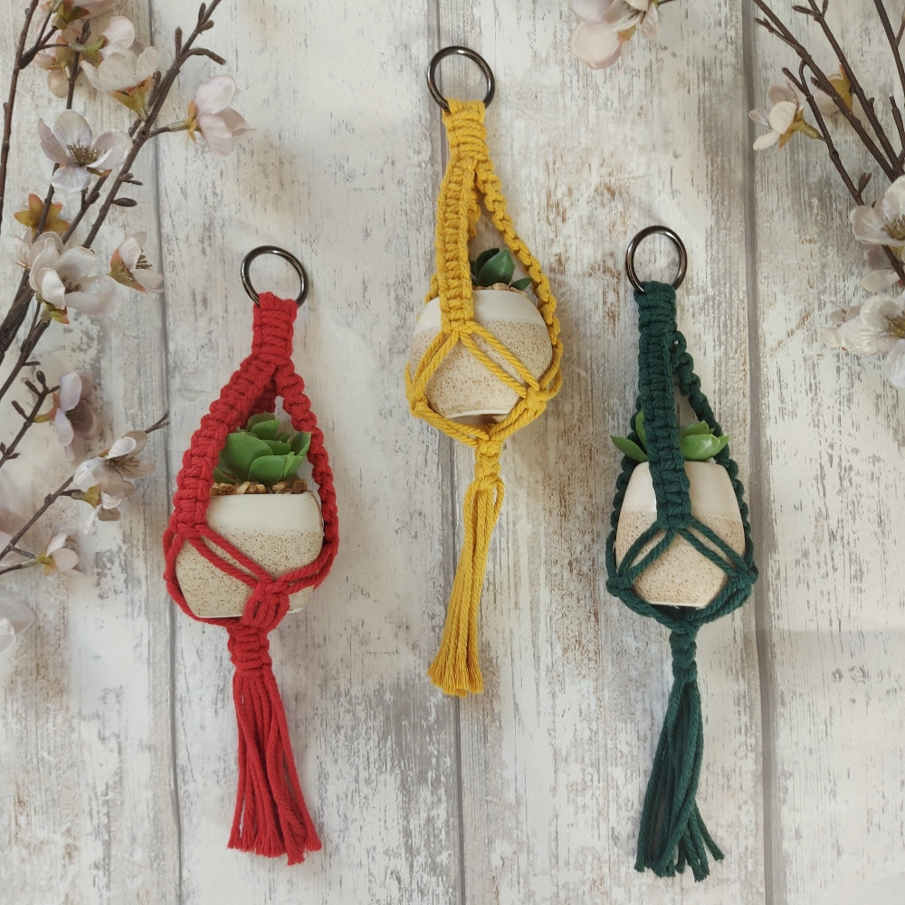 Mini Macrame Plant Holder – Christmas Gift