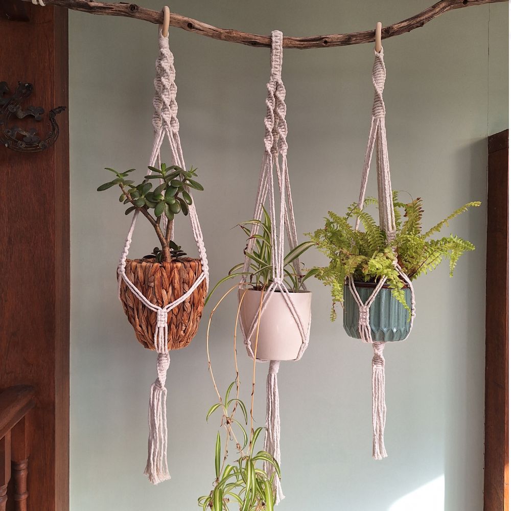 decorative plant hangers