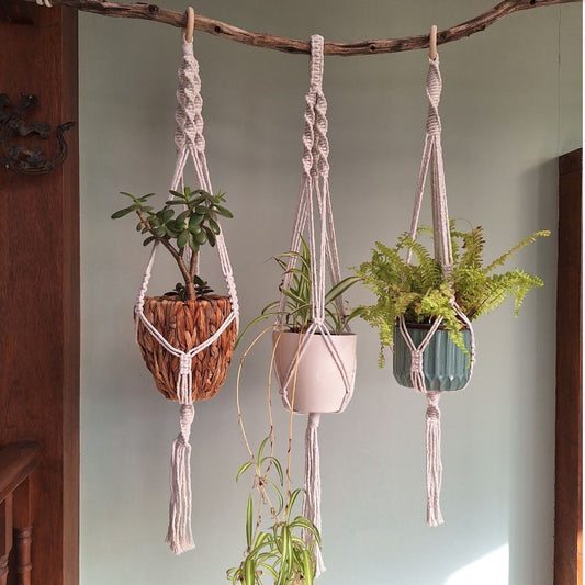 bathroom plant hanger