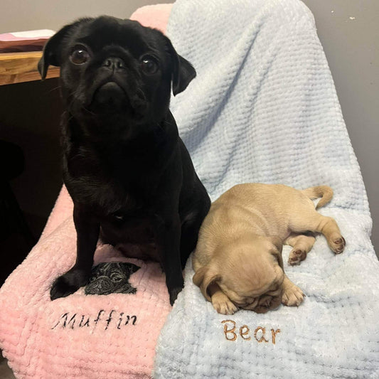 personalised-dog-gifts-for-humans