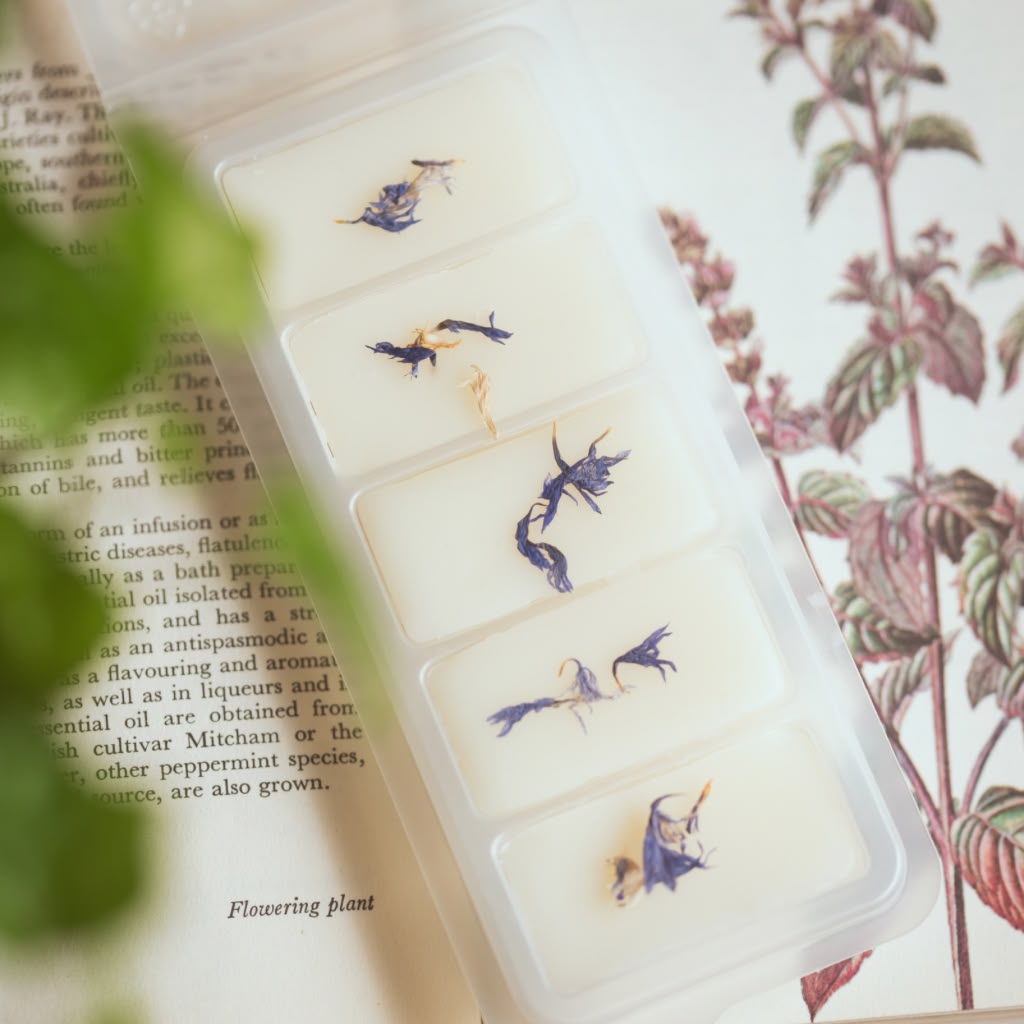 White wax melt bars with fairy designs on a book page with plants in the background