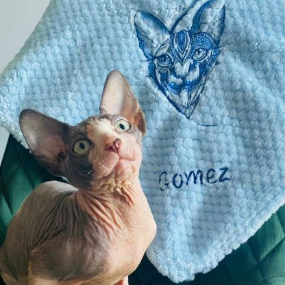 pet-blankets-for-cats