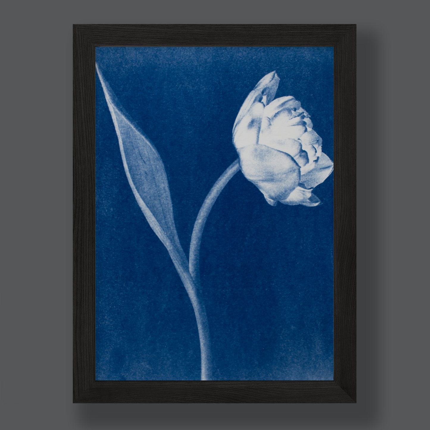 tulip-print