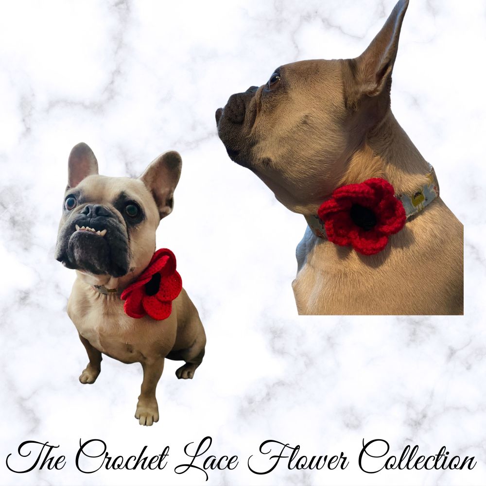 poppy-dog-tag
