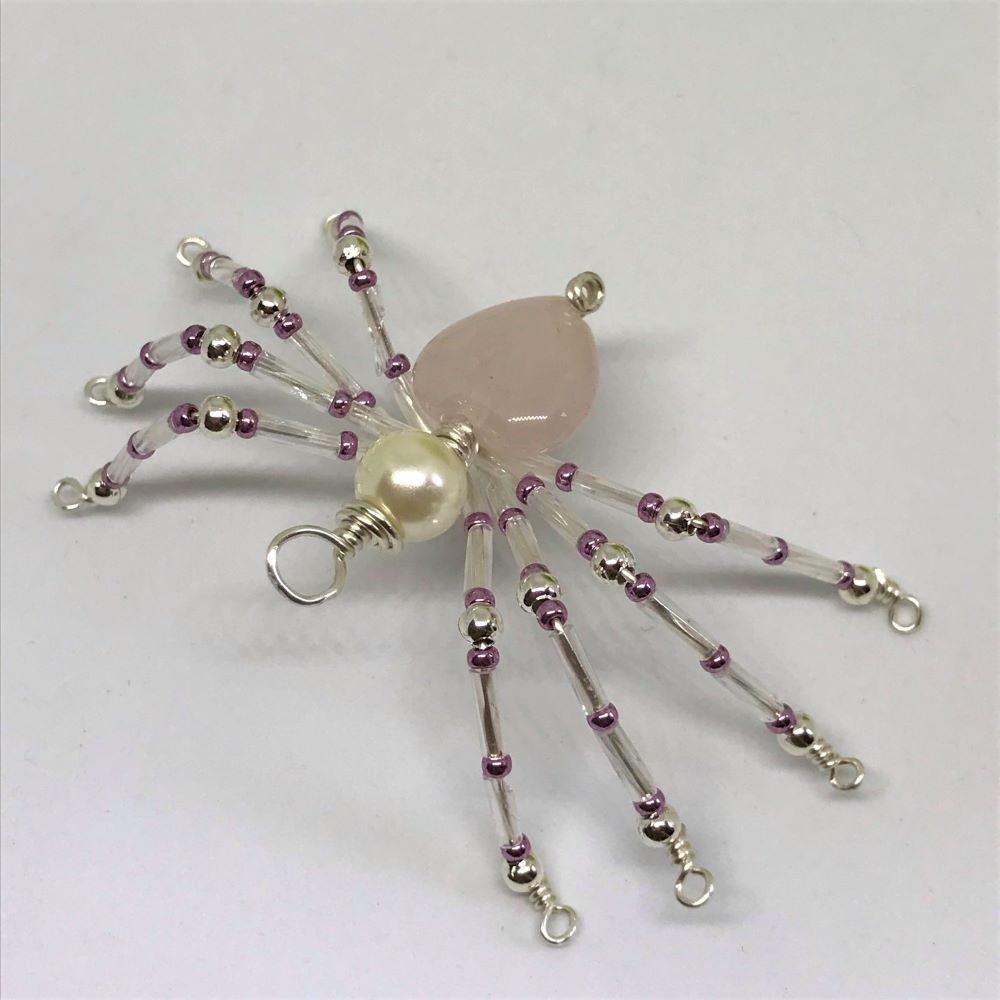 spider-gift