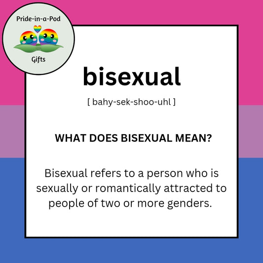 Bisexual Bracelet - Bisexual Gift