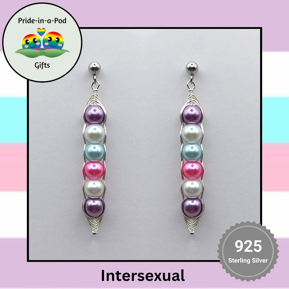 pride-silver-earrings