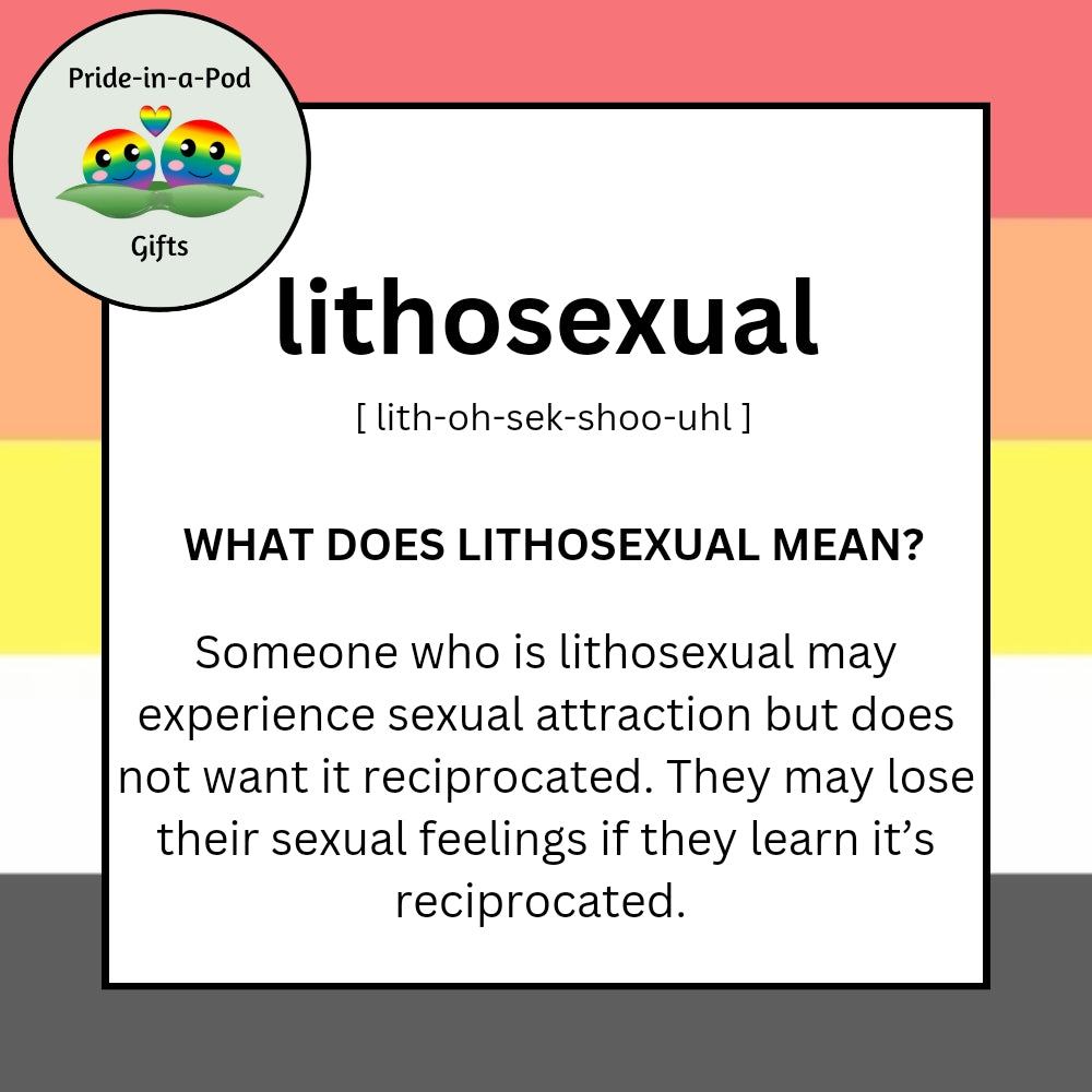 Lithosexual Bracelet | Lithosexual Gift