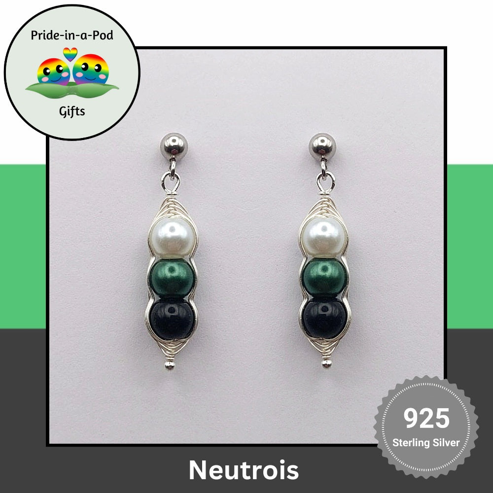 pride-silver-earrings