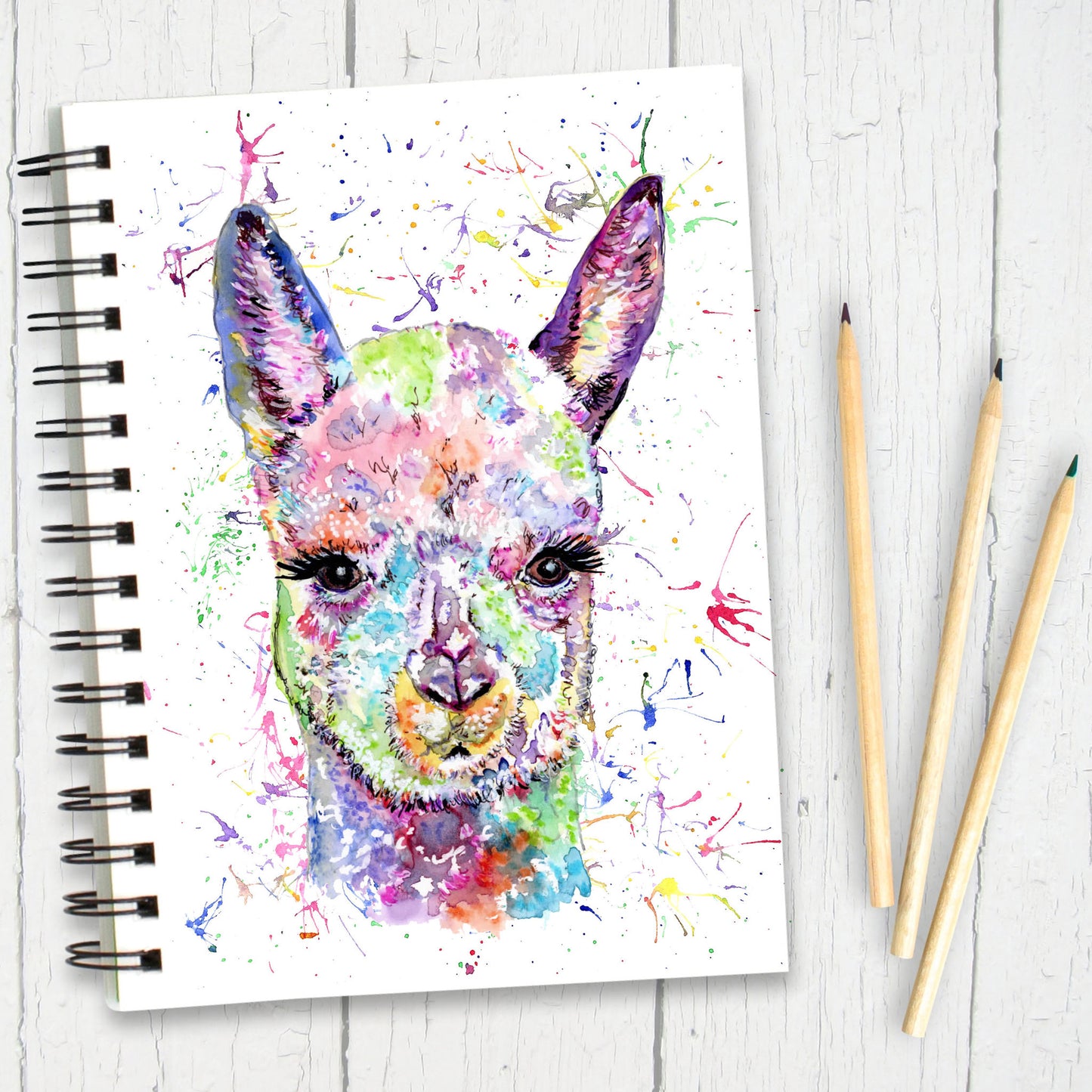 alpaca-notebook