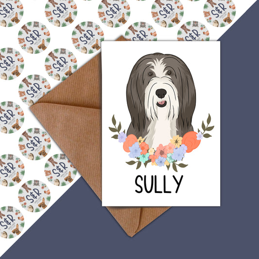 bearded-collie-birthday-card