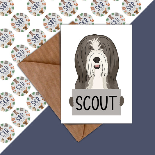 bearded-collie-birthday-cards