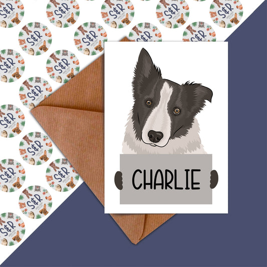 border-collie-birthday-cards