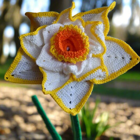 Crocheted daffodil with white petals and orange centre on a textured white background