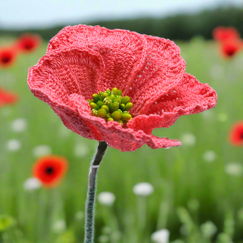 pink poppy gifts