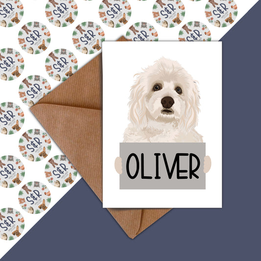 havanese-birthday-cards