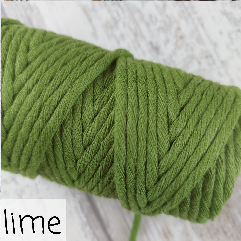 Close up image of lime macrame rope