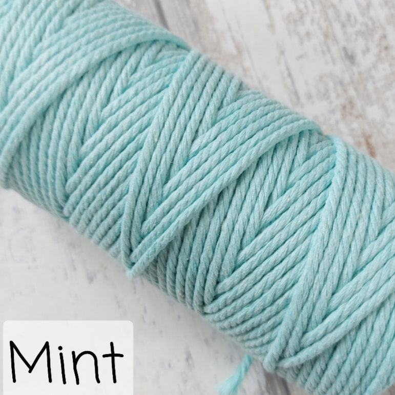 Image showing mint macrame string colour option