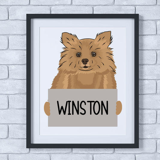 A lovely personalised illustration of a Pomeranian dog with a sign that reads 'WINSON', presented as a framed artwork.