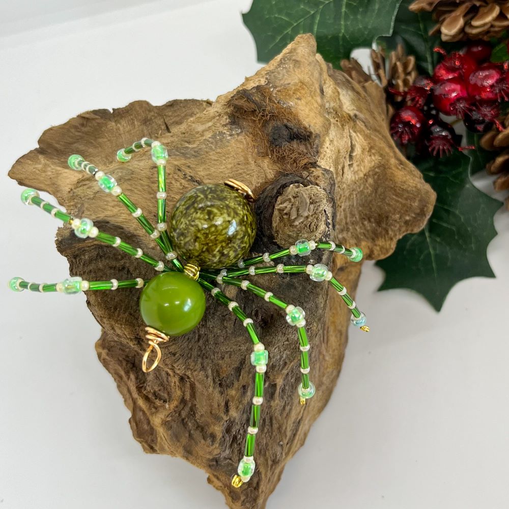 spider-gift